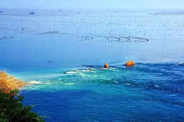 大连开海后的海鲜,开海了吃海鲜去哪个码头最便宜