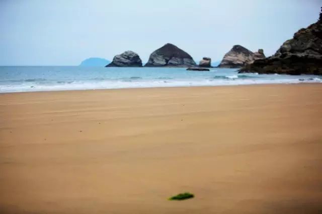 大连开海后的海鲜,开海了吃海鲜去哪个码头最便宜