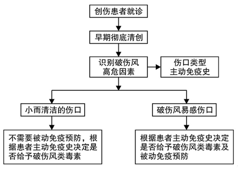 外伤九天伤口愈合会得破伤风吗,小孩外伤到底需不需要打破伤风