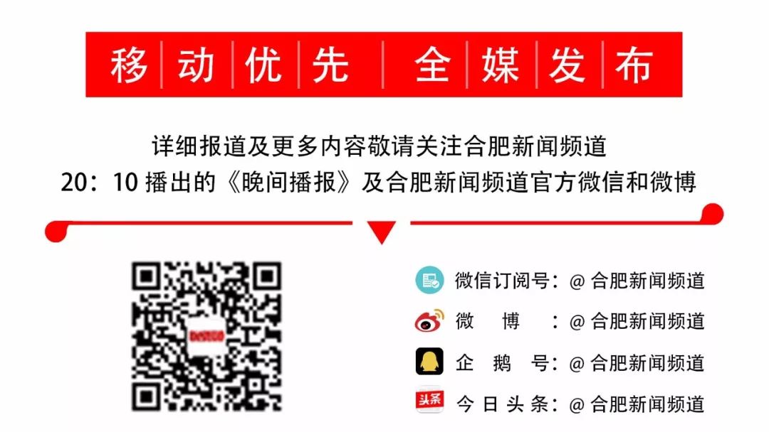 央媒谈合肥日报,长三角勇立潮头