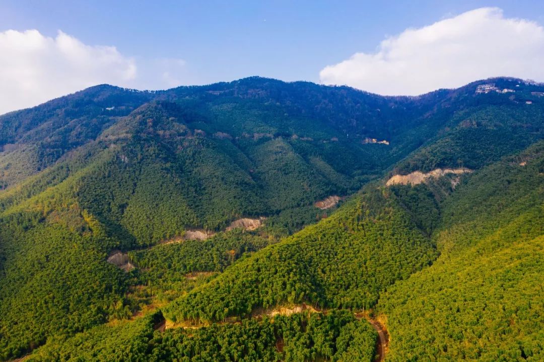 莫干山民宿成功的原因,莫干山民宿是怎么做起来的