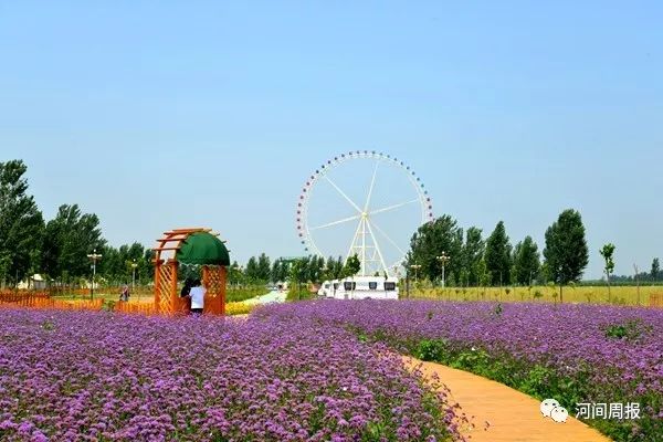 印象沧州市,印象沧州大运河