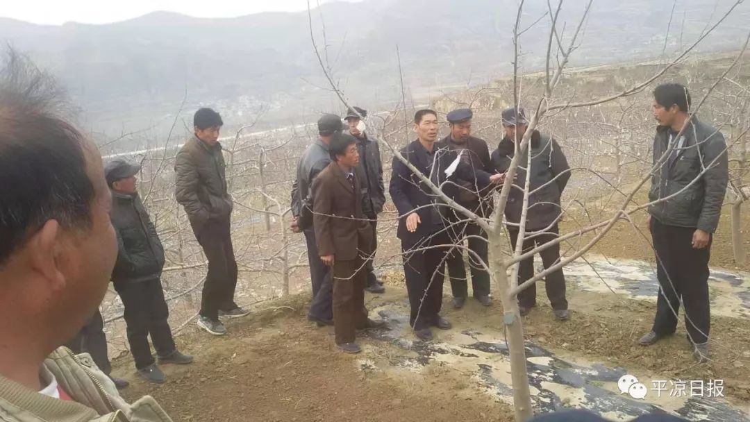 70后的果农感言,壮丽70年奋斗新时代感言