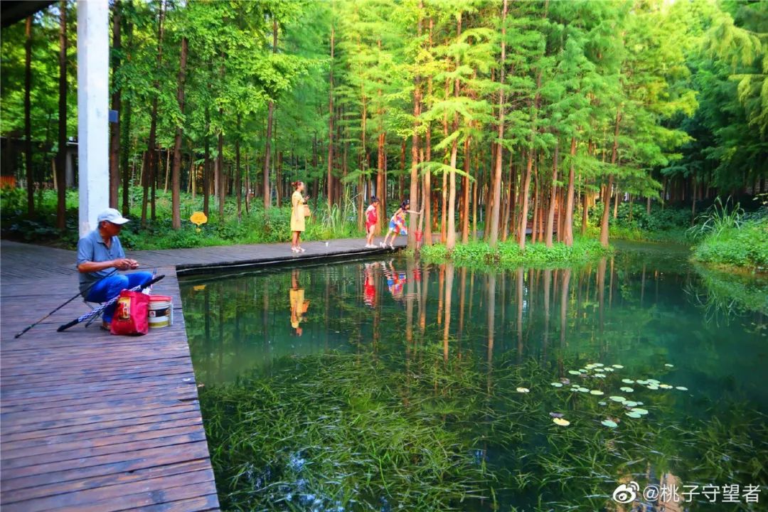 湖北日报关于宜昌的报道,湖北日报评论最新