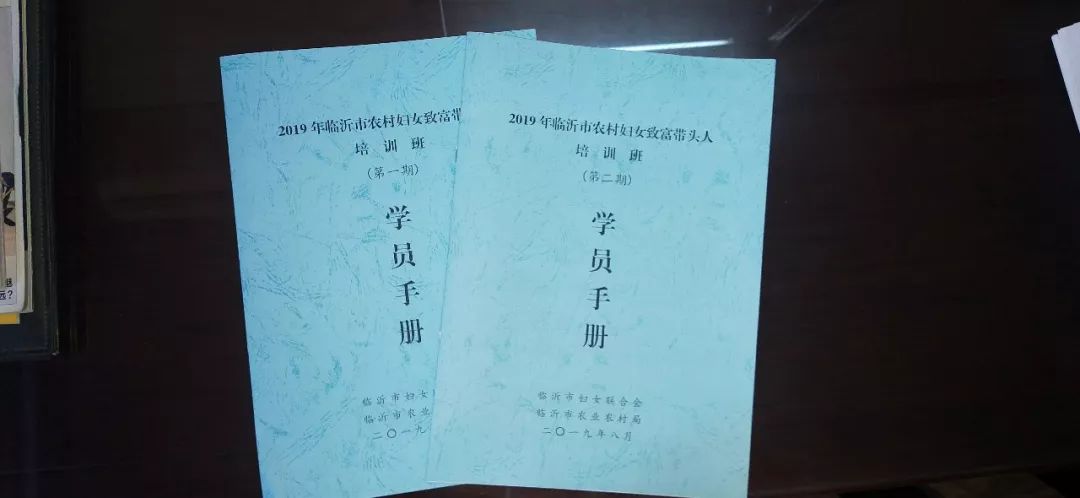 巾帼致富带头人脱贫培训班,乡村振兴巾帼行动女致富带头人