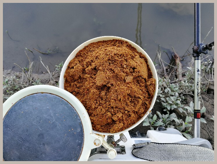 异地最后一次作钓，江鳊鱼获全部送邻居