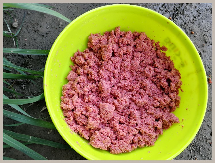 异地最后一次作钓，江鳊鱼获全部送邻居