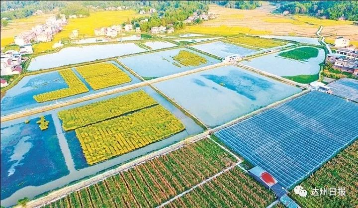 看乡村蝶变揽通川美景,惊艳的田野风光