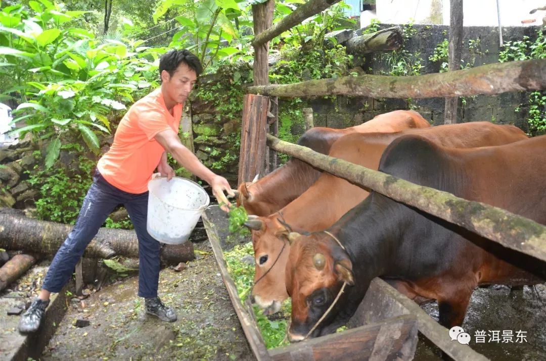 景福镇岔河村,美丽乡村岔河村