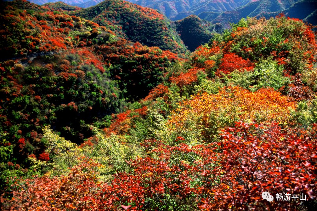 「946·玩乐」中秋石家庄及周边,吃喝玩乐全导航,来了