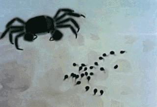 新黑猫警长第六集,黑猫警长第六集完整