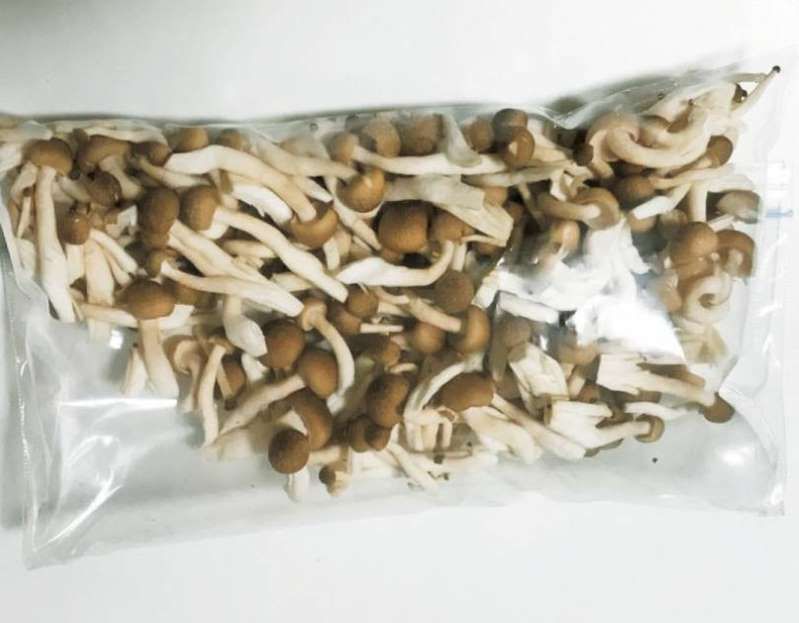 日本最省钱的存钱方法,日本主妇持家省钱100招