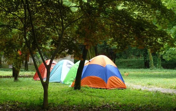 昆明周边景点排行榜前十名,昆明周边温泉一条龙游玩景点推荐