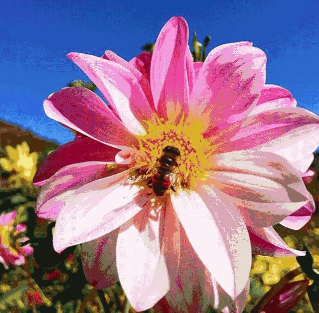 昆明周边景点排行榜前十名,昆明周边温泉一条龙游玩景点推荐