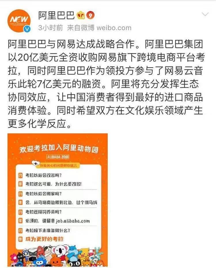 一组图看懂阿里收购考拉,阿里20亿收购网易考拉