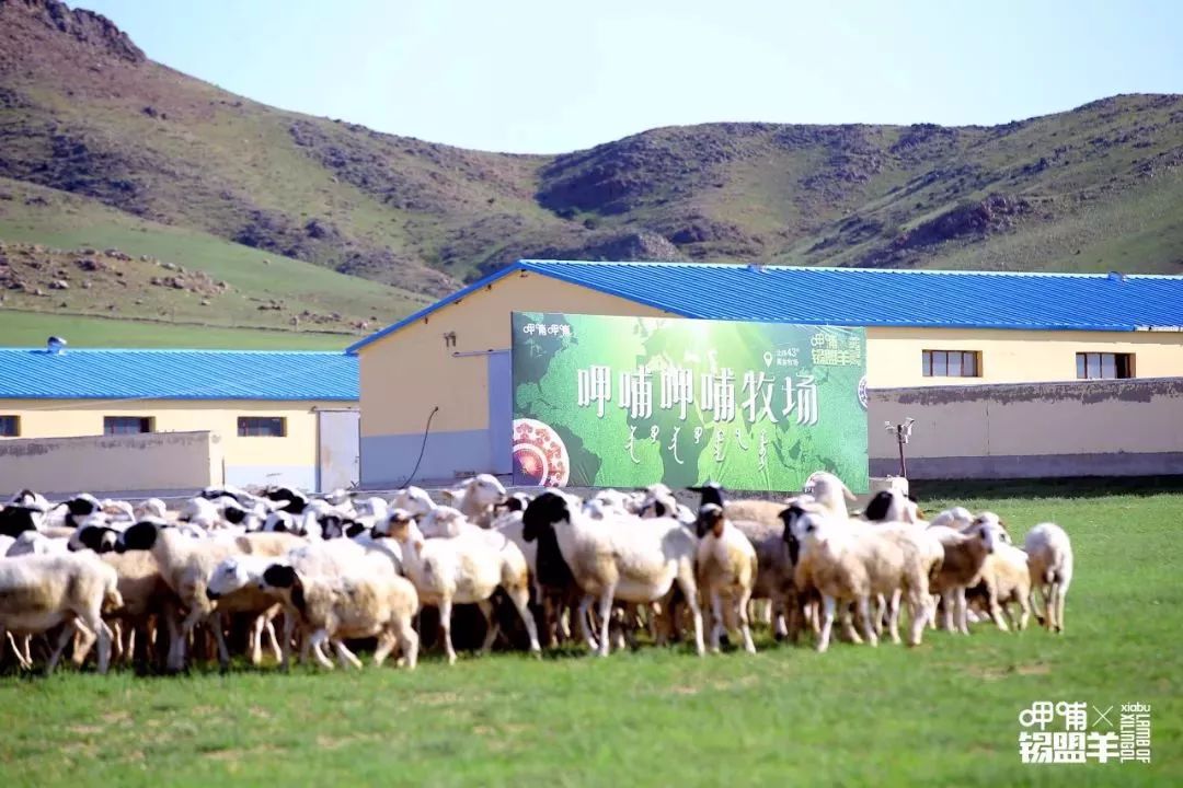 呷哺呷哺现在前景如何,呷哺呷哺集团2023年亏损吗