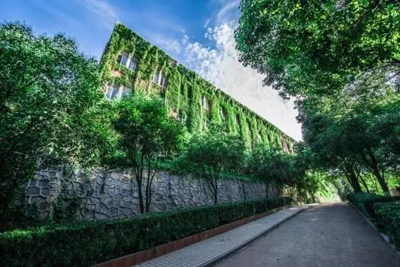 鏈嶅姟鎴戜滑鏄鐪熺殑,鎷嶇悆鎴戜滑鏄鐪熺殑