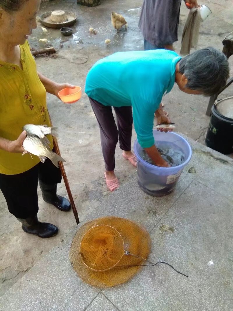 钓鱼已有几年，如今只能欣赏钓友钓鱼了...