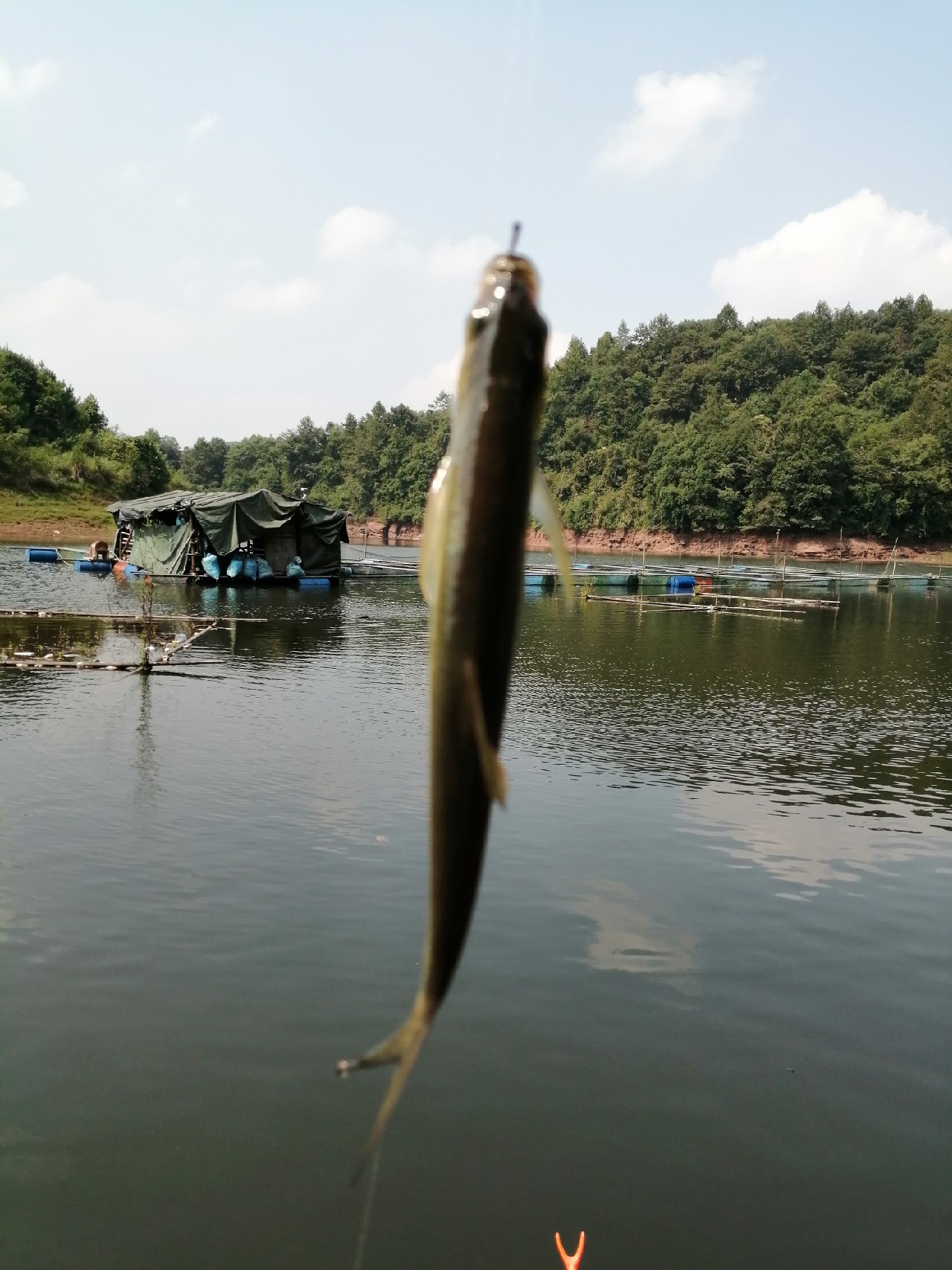 别人对你说钓鱼是什么意思,对于钓鱼各位钓友有什么看法