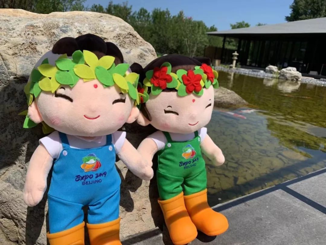 北京世园会2019小萌花,北京世园公园小萌芽