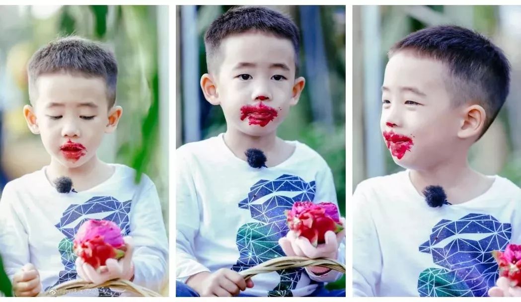 减肥届超热门必备轻食水果，高甜0酸还不发胖，一颗就饱腹