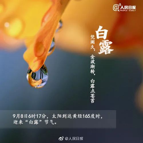 31℃！今天都白露了！还有这件大事别忘了……