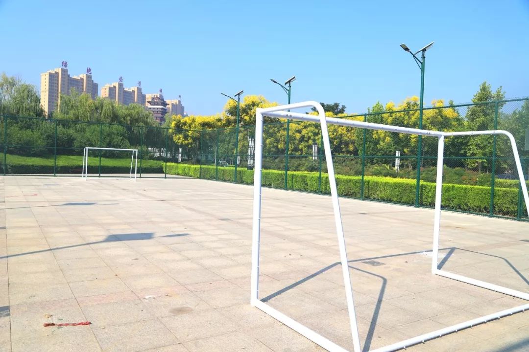 夏邑马头足球场,高大上球场