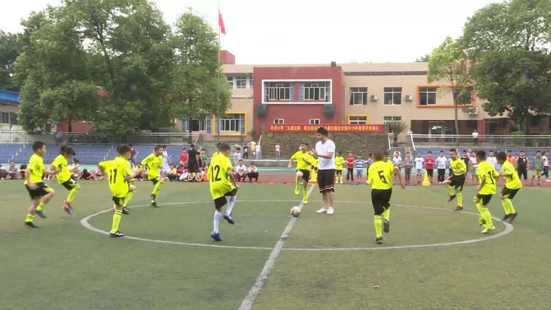 你好新学期视频怎么看,你好新学期视频观看记录