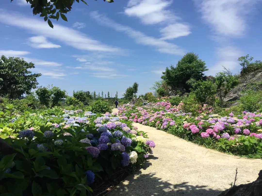 9月15-19日北京活动等你来，论坛+考察+花境，三大亮点，许多干货,欢迎围观