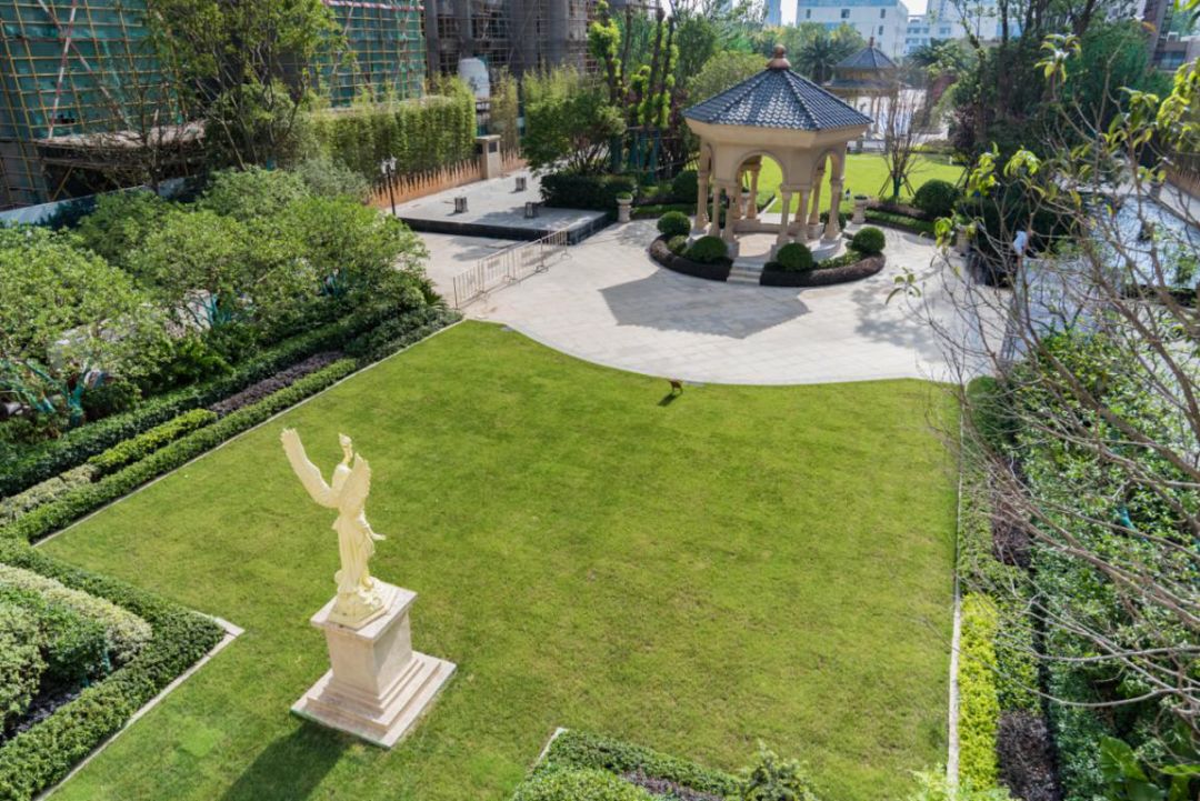 强势崛起的城市,强势崛起