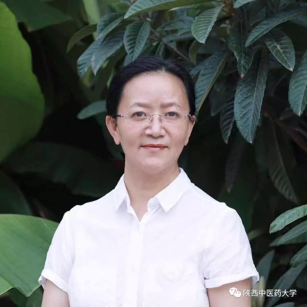 向身边优秀教师学习致敬文案,向教师致敬先进事迹