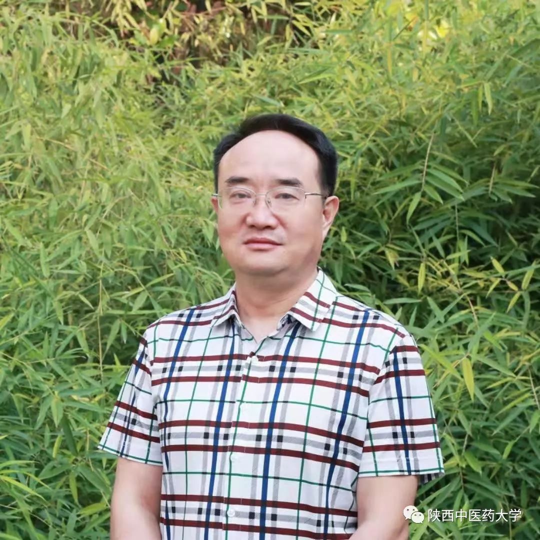 向身边优秀教师学习致敬文案,向教师致敬先进事迹