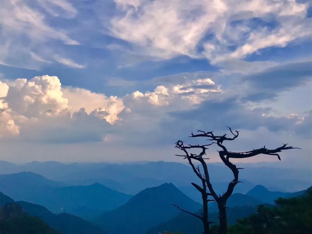 “三清赏明月，天涯共此时”，三清山女神邀你共度月圆之夜！