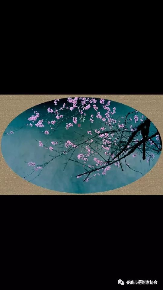 生态娄底美丽家园——【壮丽70年奋斗新时代】娄底首届风光摄影作品展览生态小品作品选登