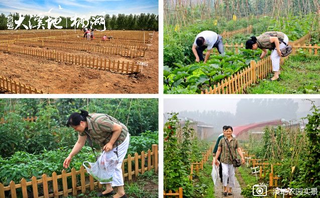 蓝石大溪地的房子值得买吗,蓝石大溪地最新房价