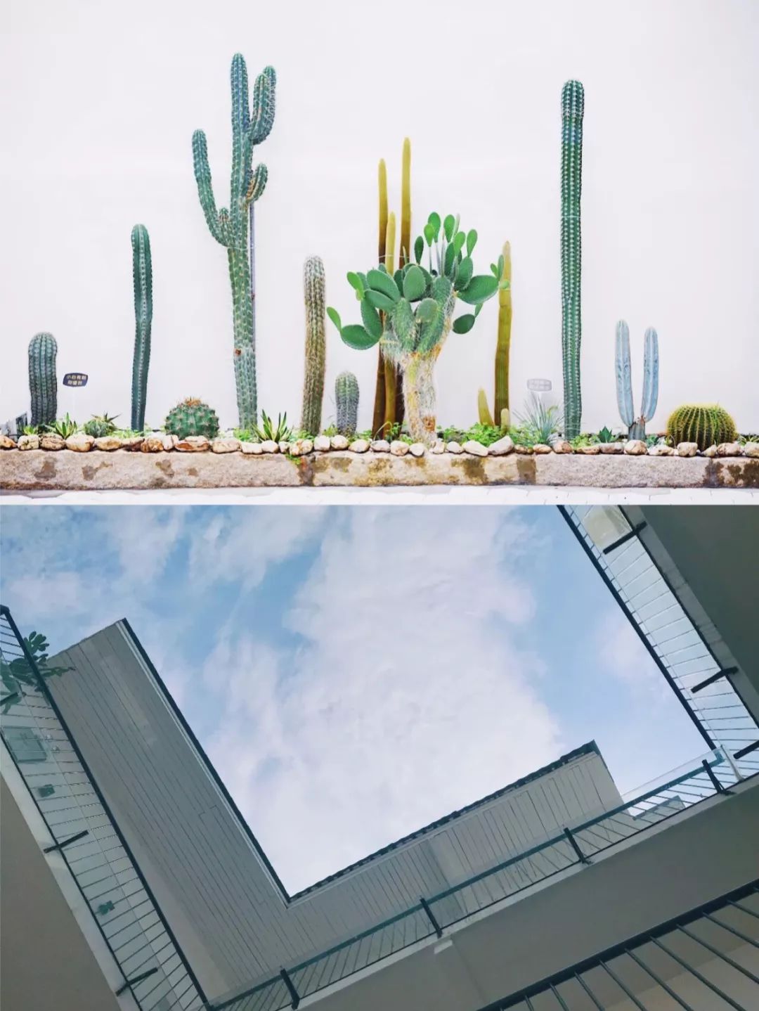 厦门自助旅游食住攻略,厦门旅游吃什么实惠