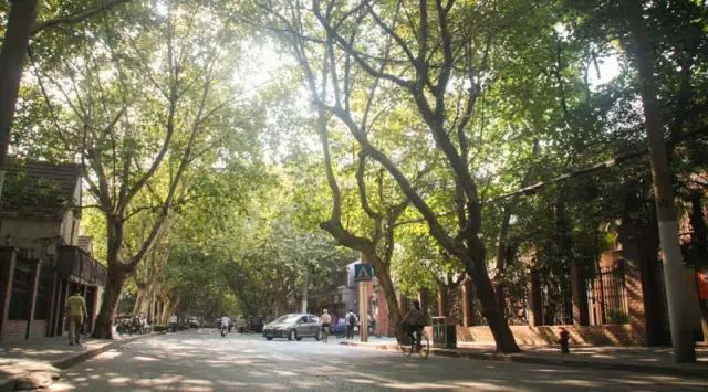 美美哒景观路,美美哒一道绚丽的风景线