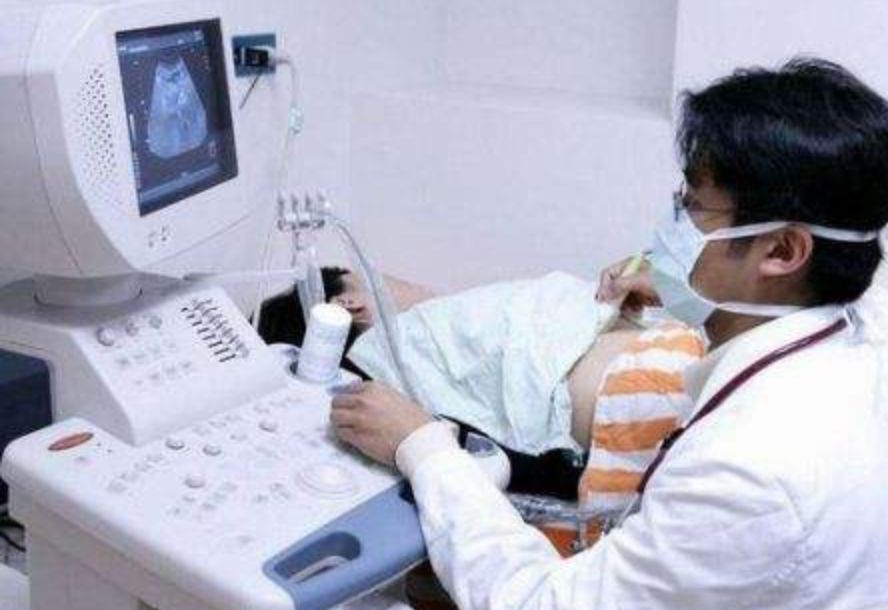 秋天补气血正当时,如何补有讲究!|科普