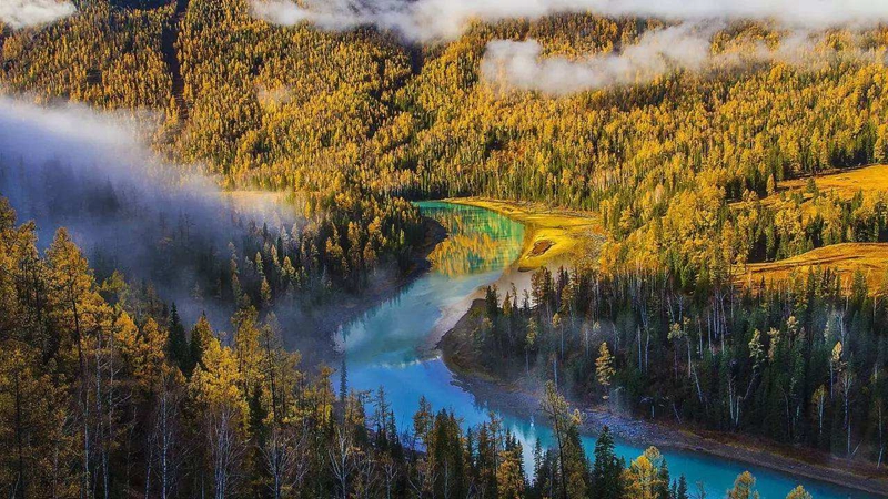 滨州市朗诵协会新年诗会,滨州诗词朗诵协会