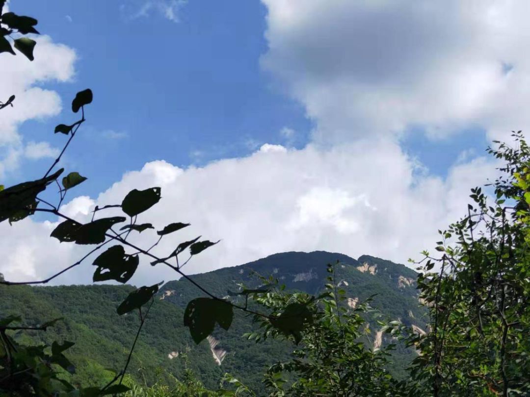 中秋夜祈福,中秋节祈求阖家团圆