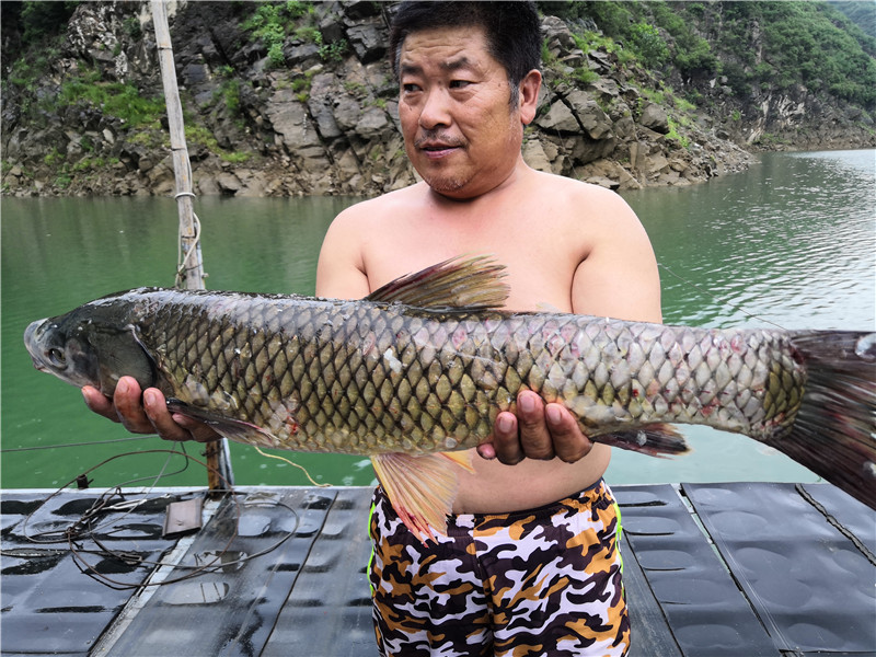 左手大鲤右手大翘我的鱼获超给力