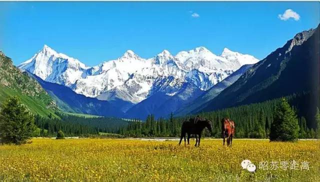 笔尖思路抒怀昭苏丨优秀作品展《夏塔怀想》