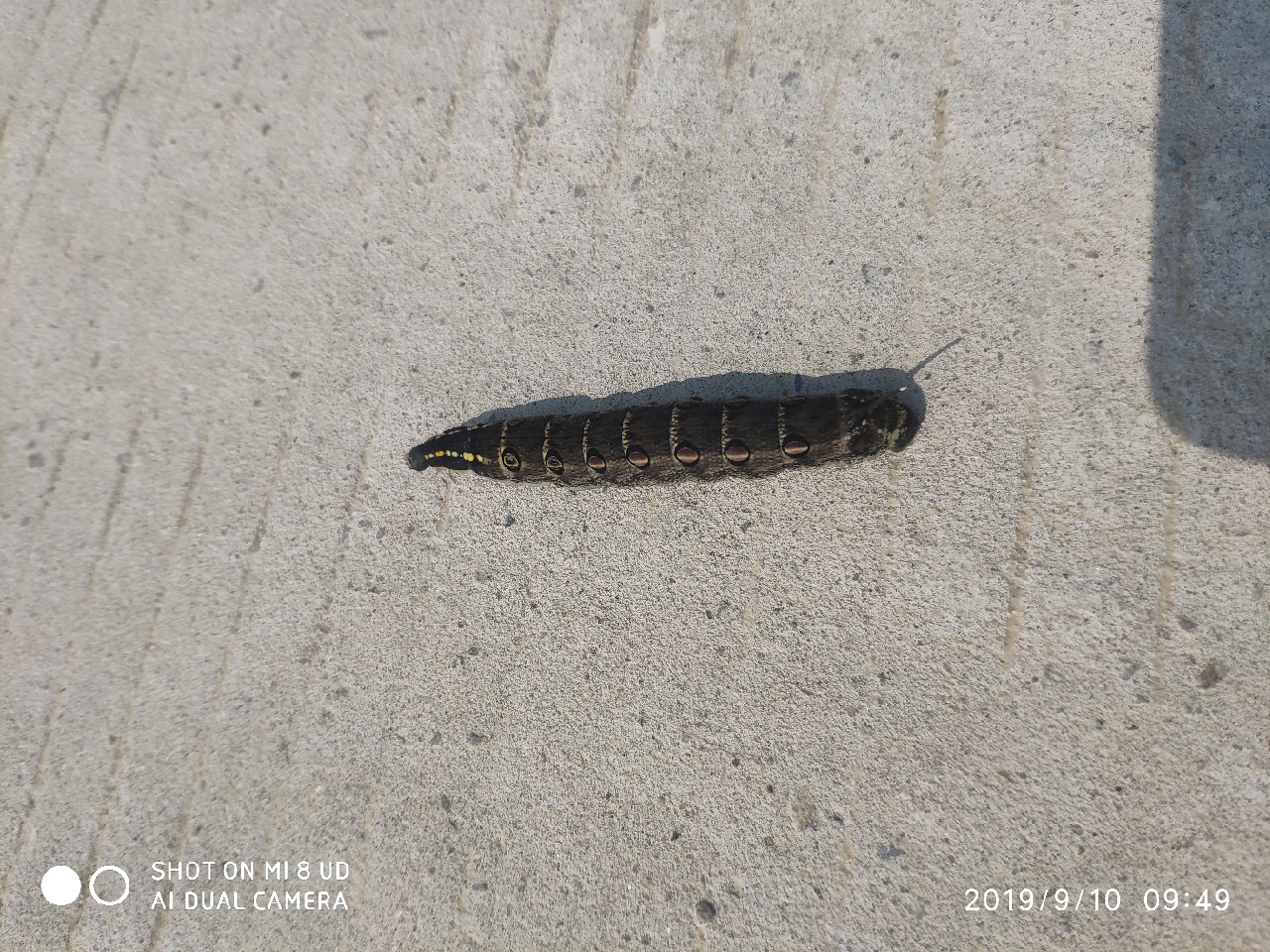 鼓轮经常爆线是什么原因,鼓轮爆线怎么办