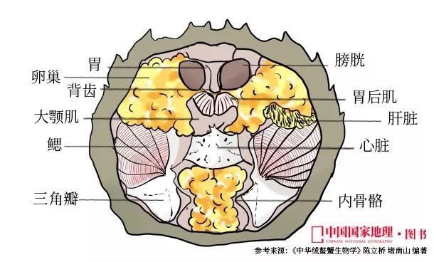 大闸蟹做法简单又好吃,鹤龙湖大闸蟹哪家好吃