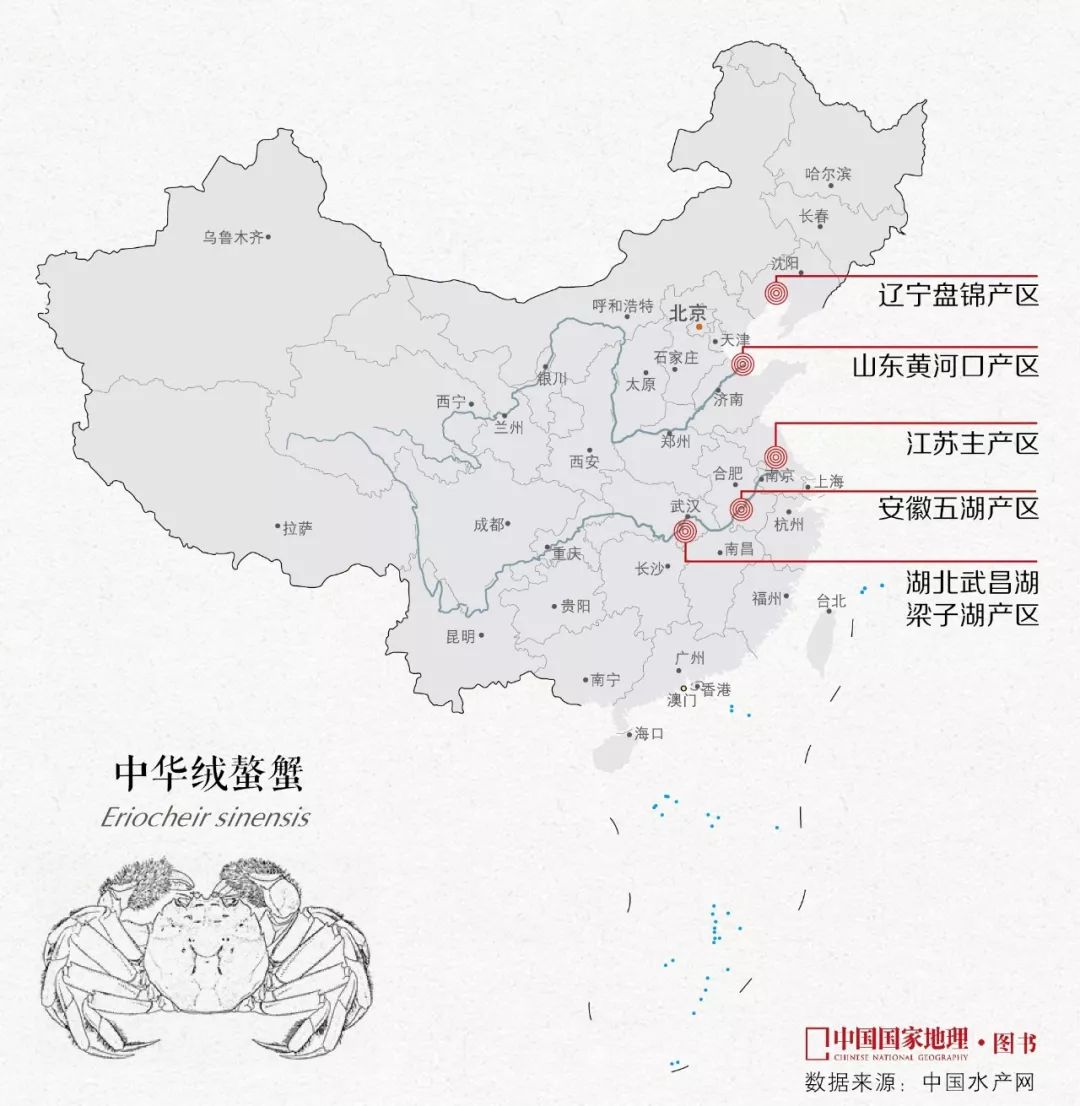 大闸蟹做法简单又好吃,鹤龙湖大闸蟹哪家好吃