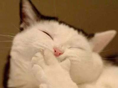 全国忘带身份证怎么坐飞机,机场忘带身份证怎么上飞机