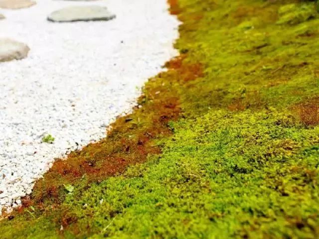 拈花湾历史背景,灵山小镇拈花湾案例解读