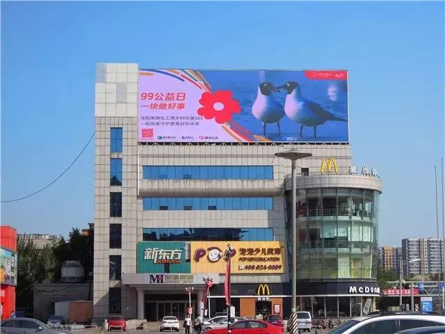 阿拉善see公益在哪,感谢爱心人士及企业的大力支持