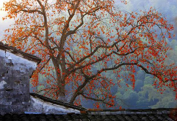 鍗佷竴鍋囨湡濠烘簮鏃呮父鏀荤暐,濠烘簮鍗佷竴鏈堜唤鏃呮父鏀荤暐