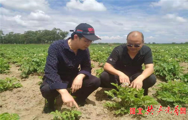 县级贫困户拔穷根,张北脱贫致富